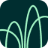 Willow Wealth logo